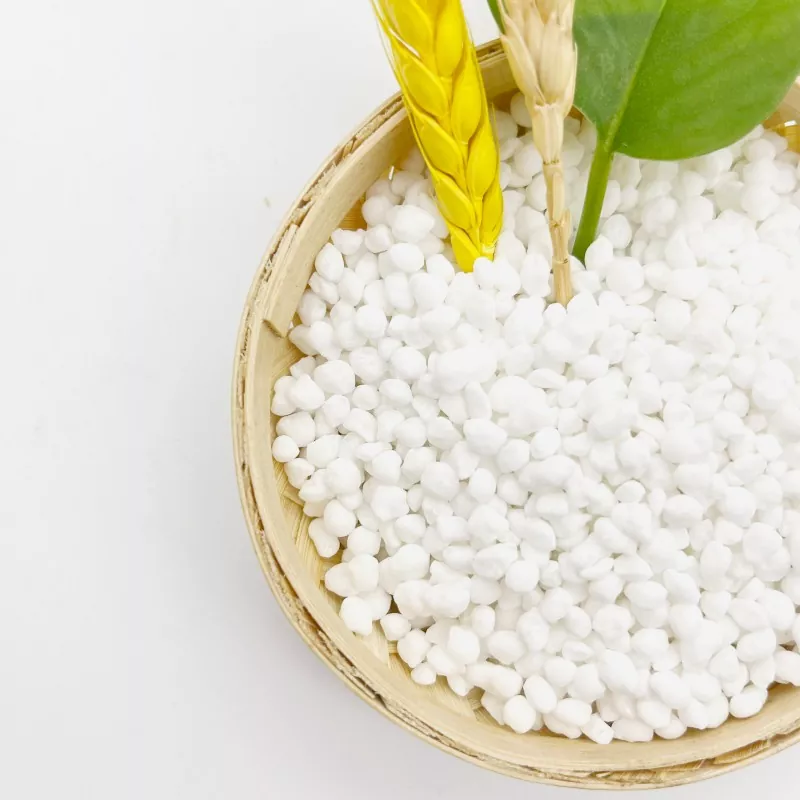 Ammonium Sulfate Fertilizer Application in Agriculture