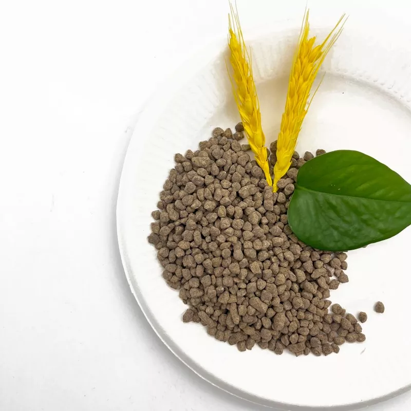 Nitrogen Sulfur Fertilizer Production Process